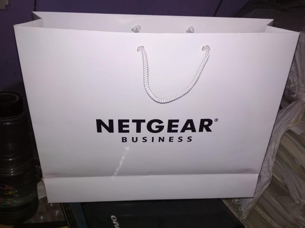 Custom Logo Printed Paper Carry Bags