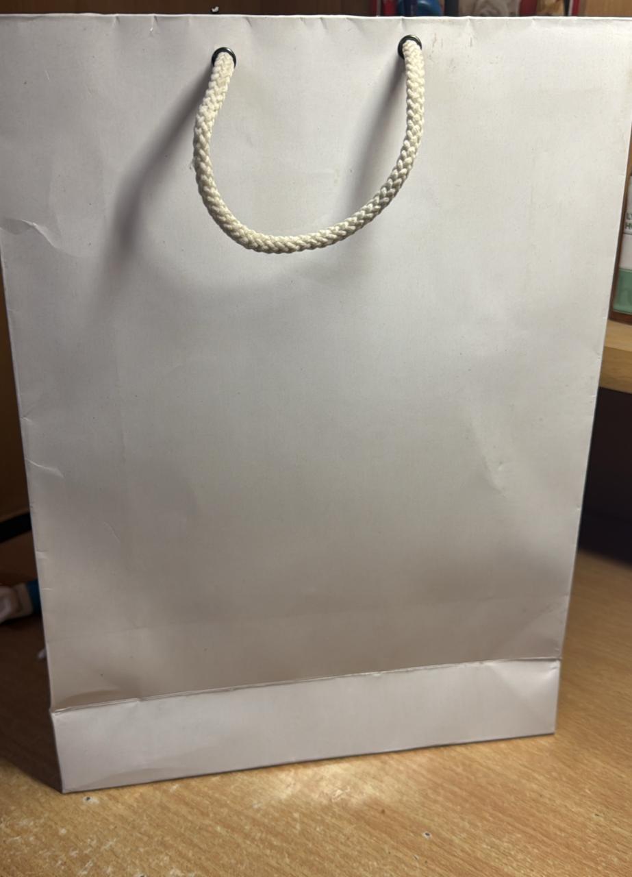 Custom Logo Printed Paper Carry Bags